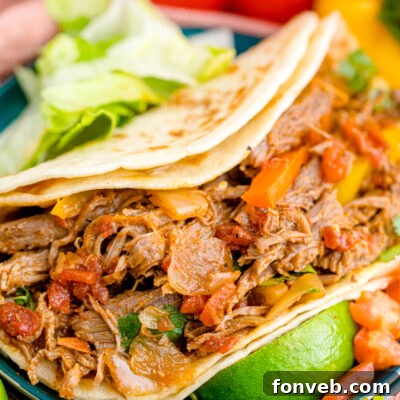 Steak Fajitas in a tortilla