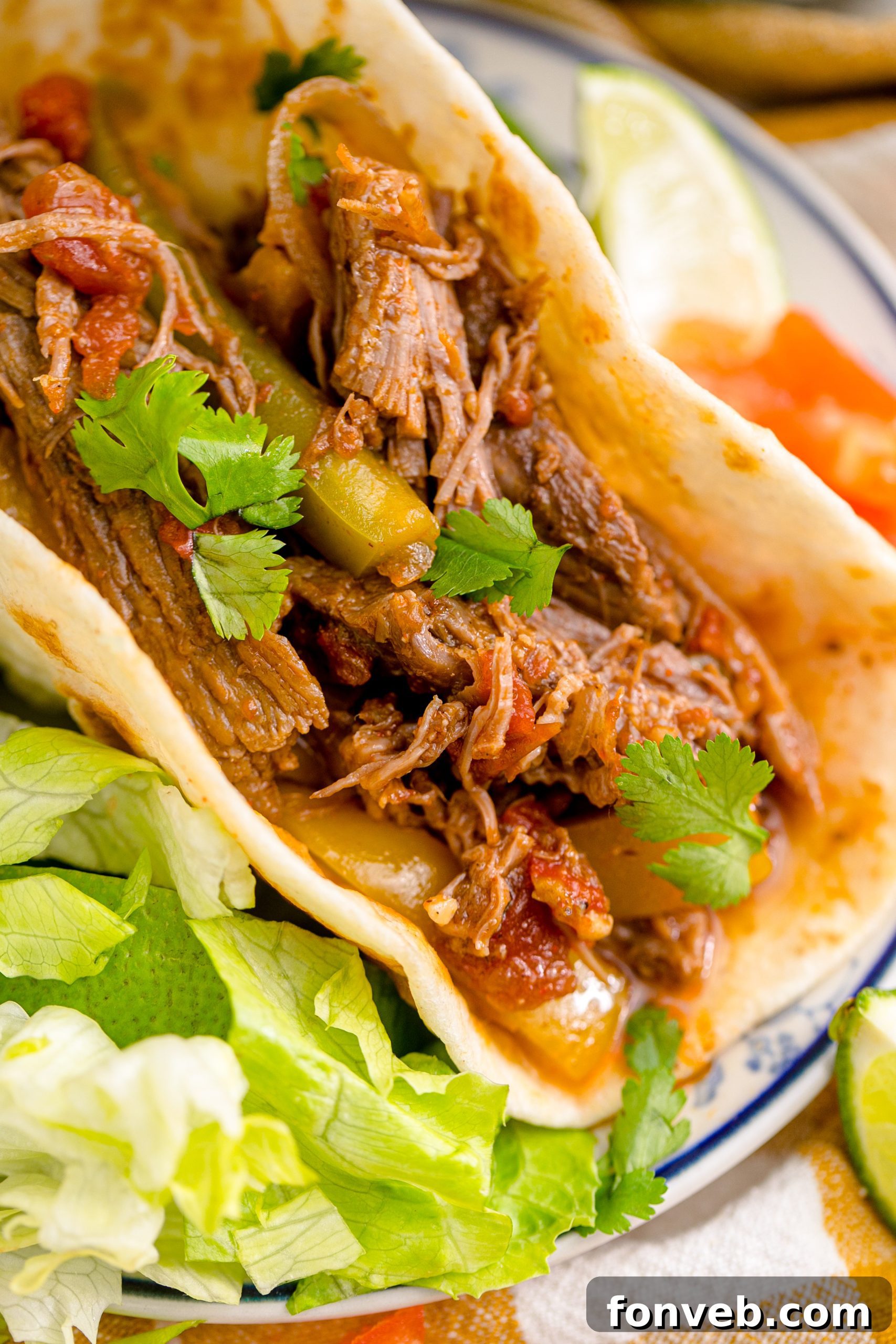 Steak Fajitas on a white plate with lettuce