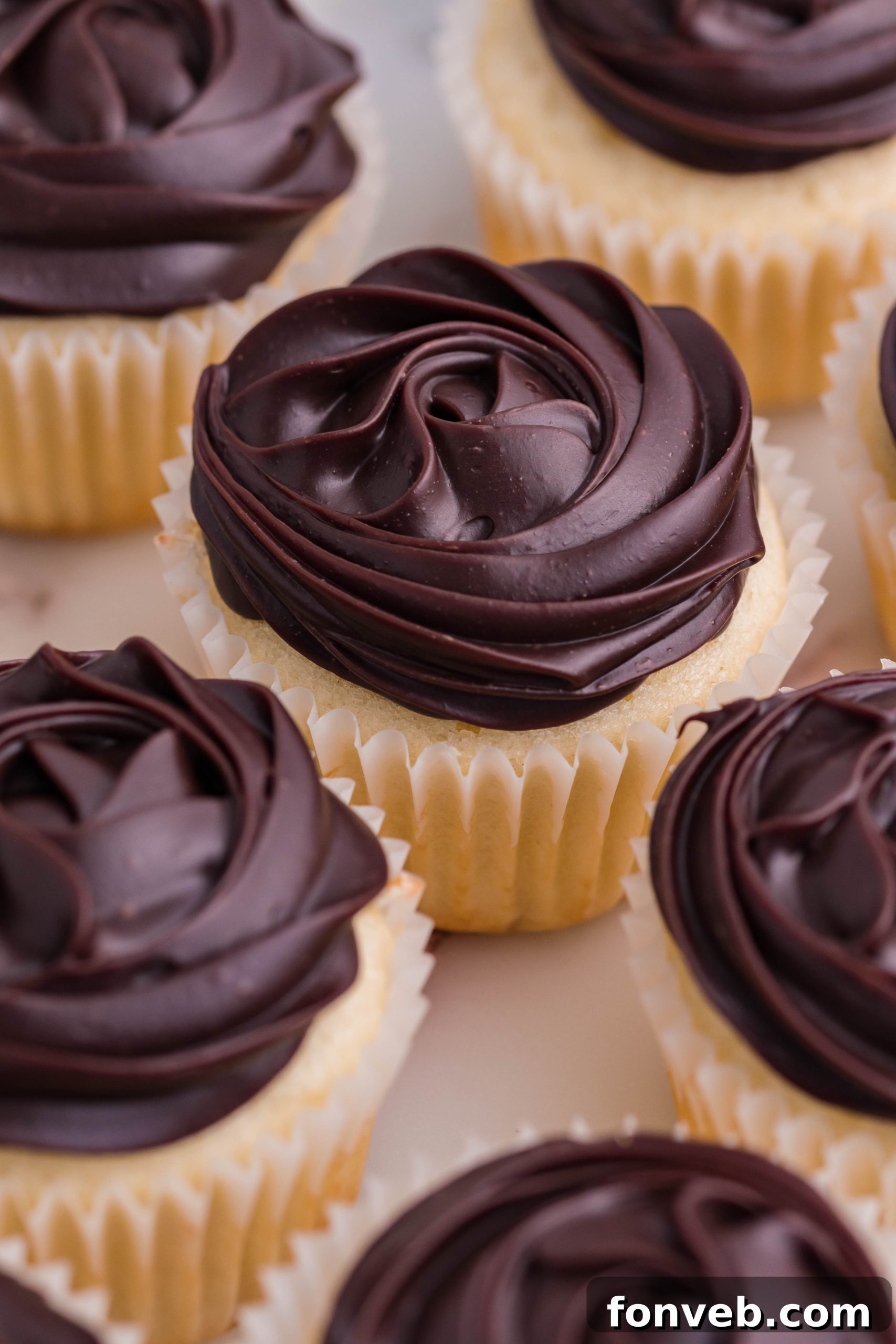 Boston Cream Cupcakes on a white counter