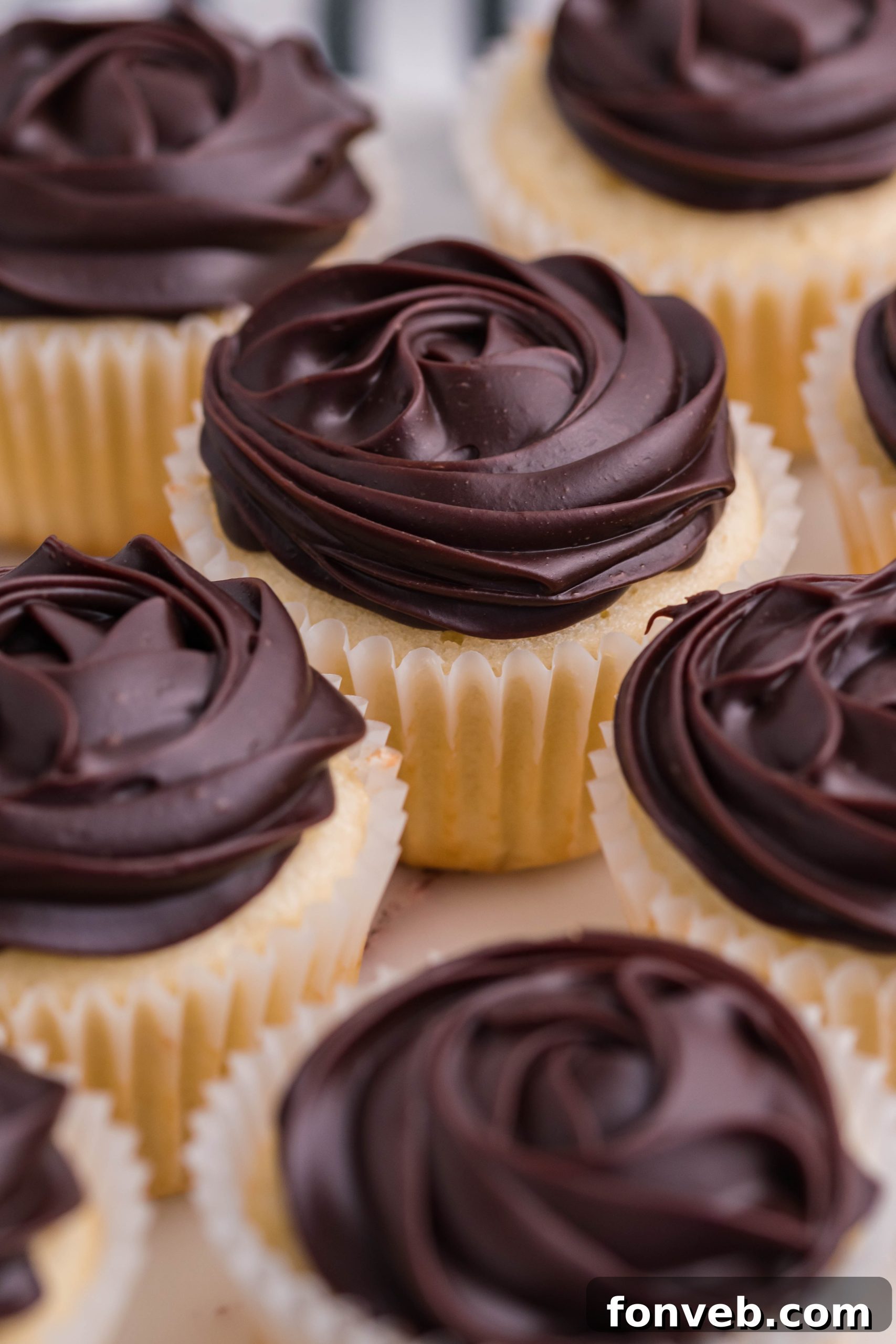 over head shot of Boston Cream Cupcakes on a white counter