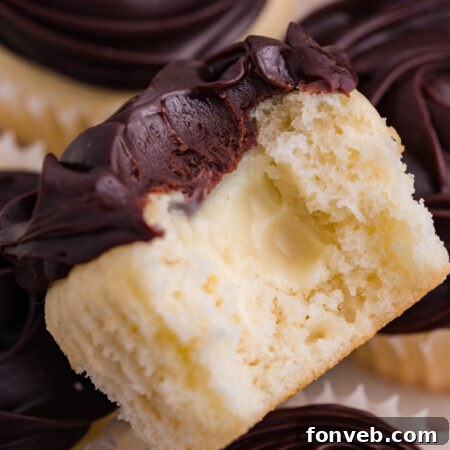 Boston Cream Cupcakes