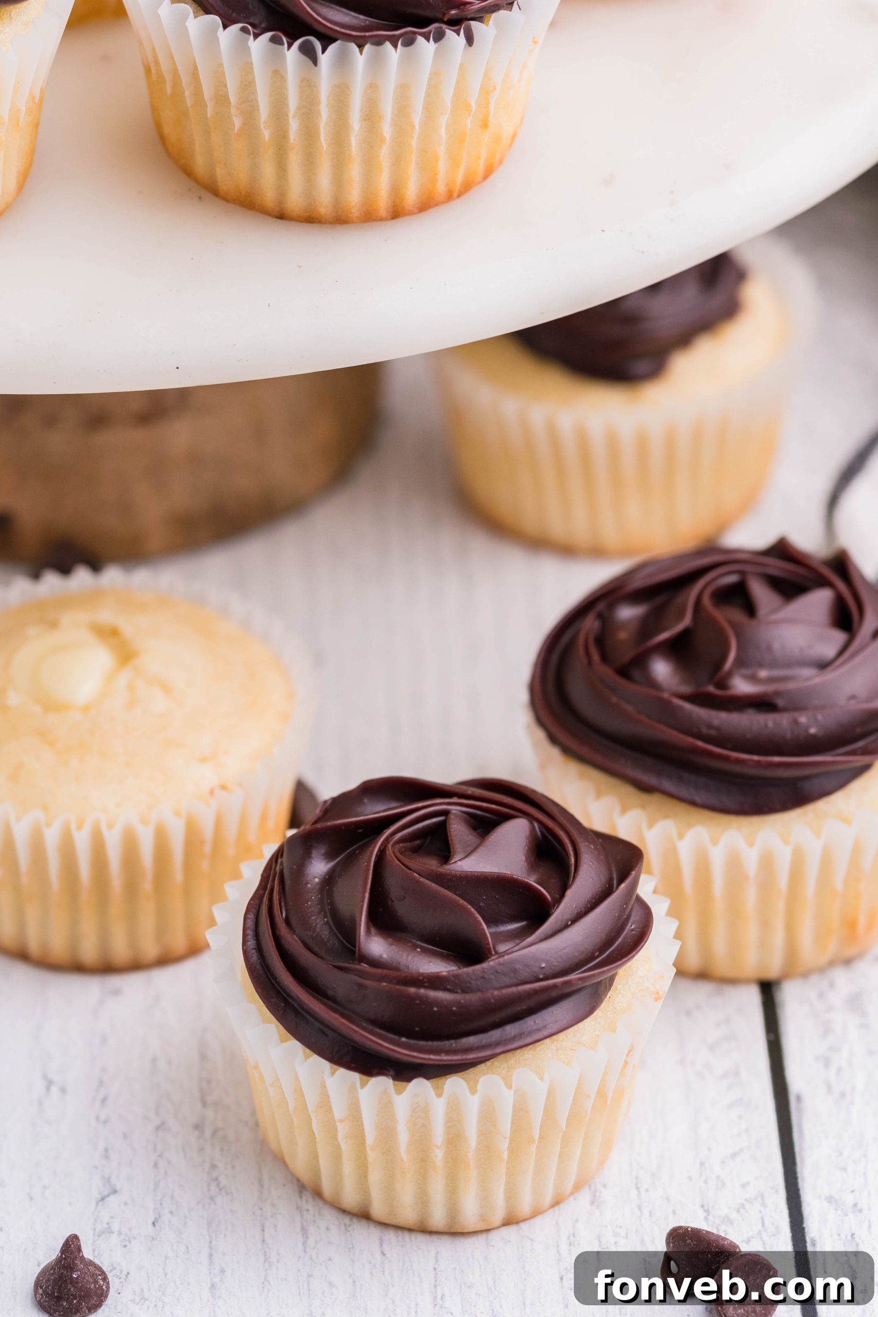 Boston Cream Cupcakes on a white counter
