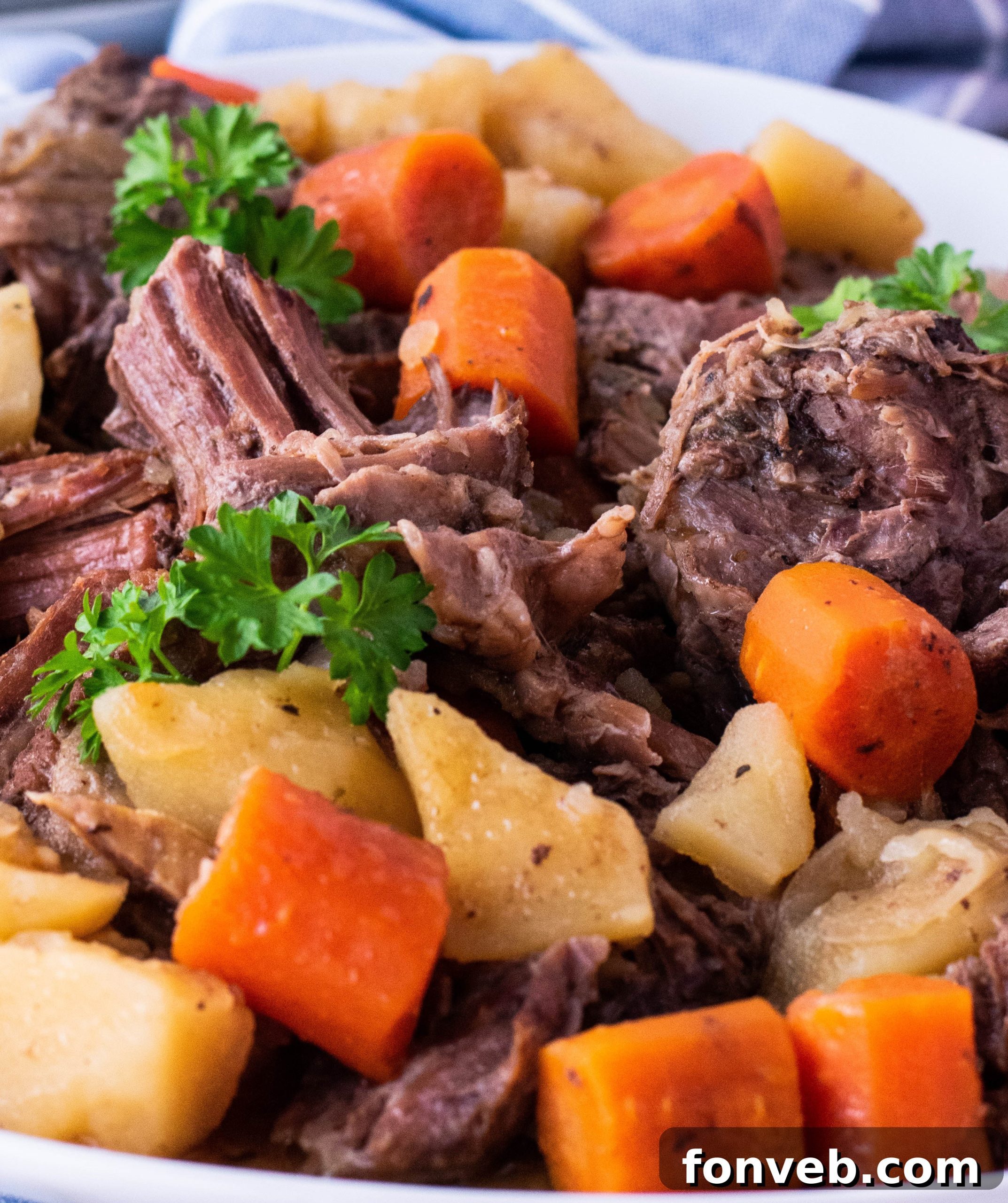 Crock pot chuck roast close up 