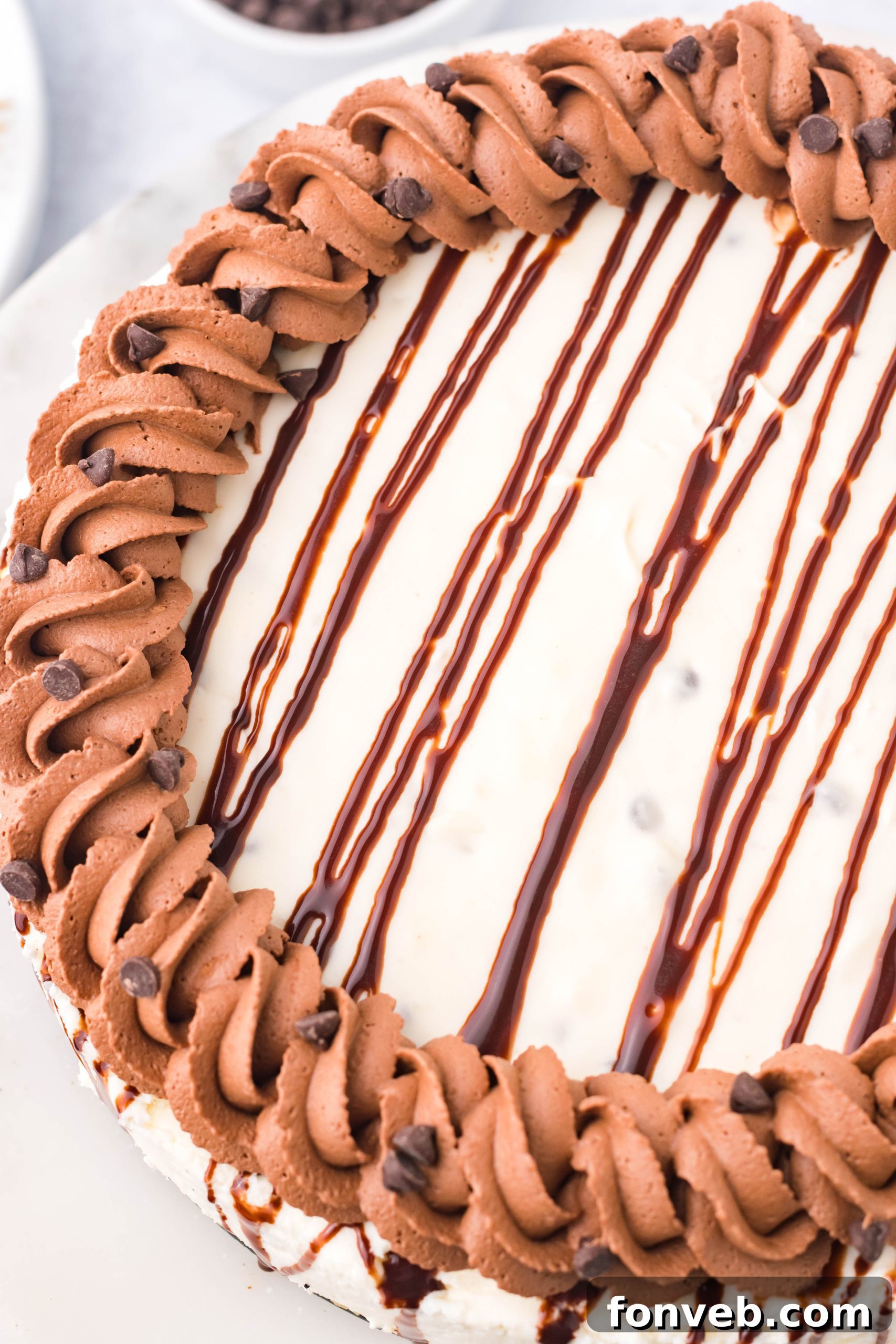 Chocolate Chip Cheesecake on a cake stand overhead shot