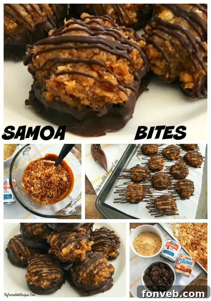 A beautifully composed flat lay image showcasing Samoa Bites and other related elements, ready for social media sharing.