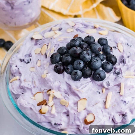 Blueberry Fluff Salad