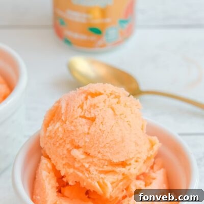 A delicious scoop of Orange Crush Sherbet