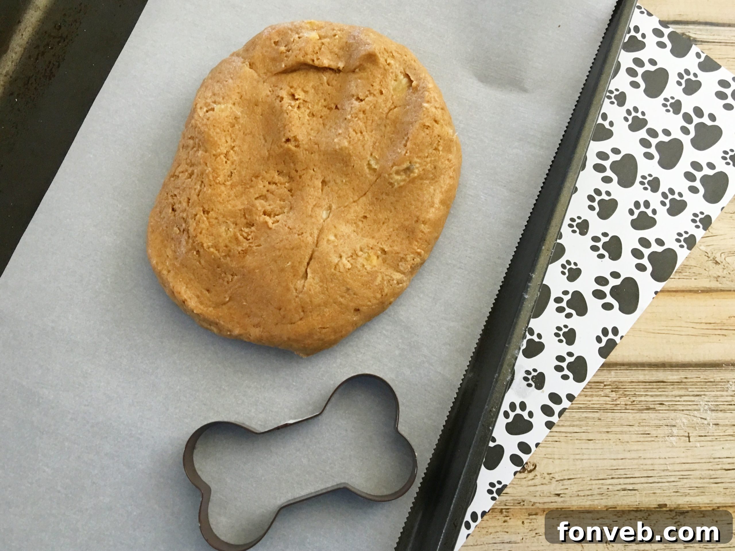 Human hand holding a dog biscuit