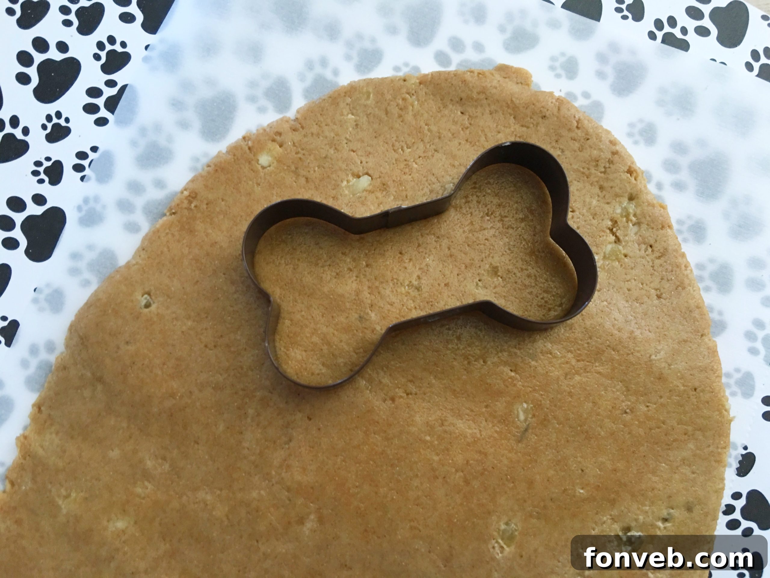 Close-up of a baked dog biscuit