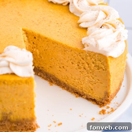 Pumpkin Cheesecake