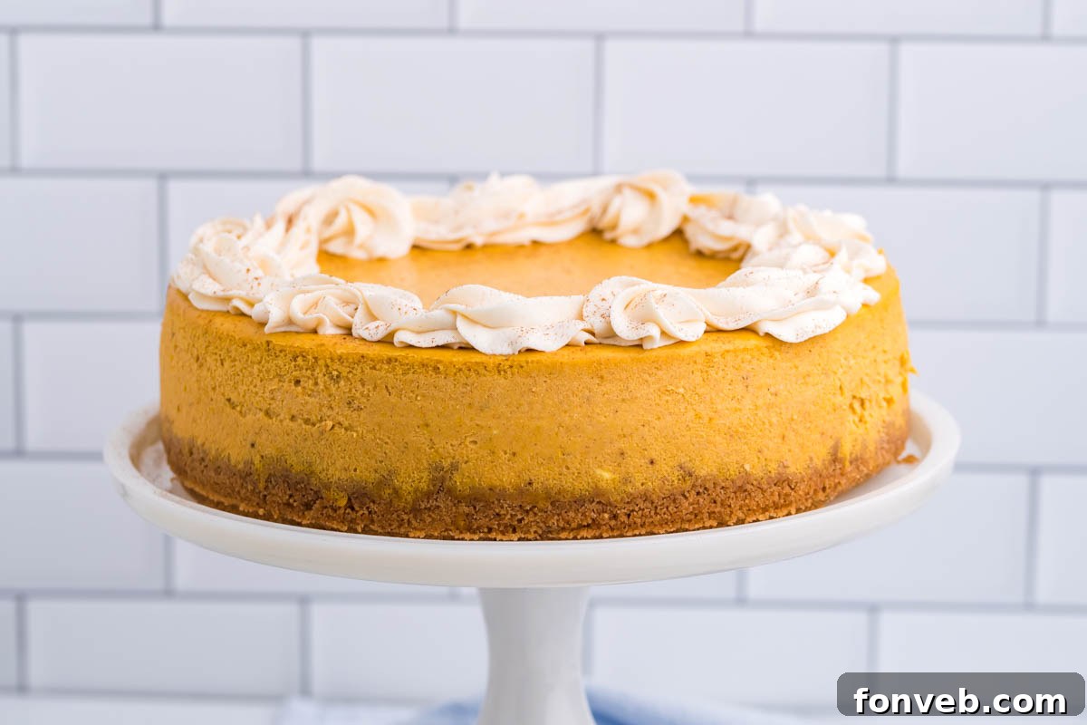 The full Pumpkin Cheesecake topped with delicate swirls of whipped cream, presented on a white cake stand
