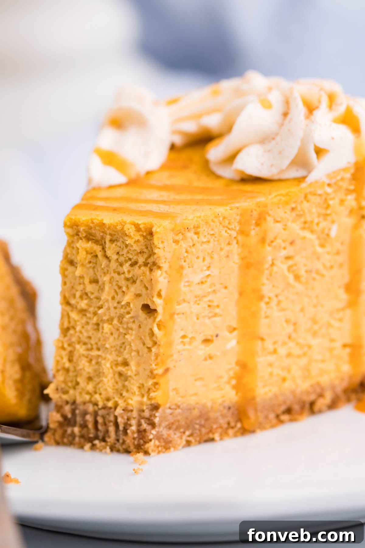 A close-up side view of a slice of Pumpkin Cheesecake on a white plate, showcasing its layers