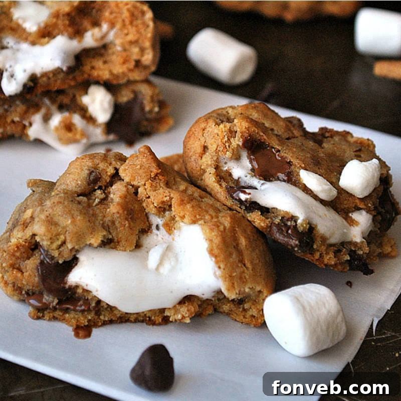 Decadent S'mores Stuffed Cookies
