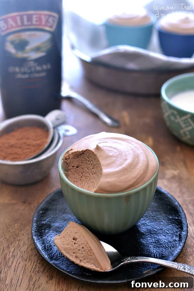 Light and Fluffy Bailey's Chocolate Mousse