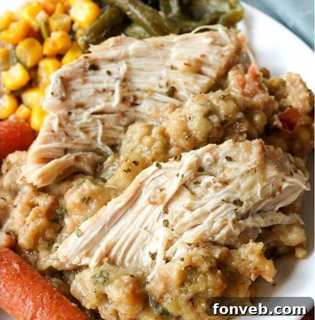 Crock Pot Chicken and Stuffing, a simple family favorite