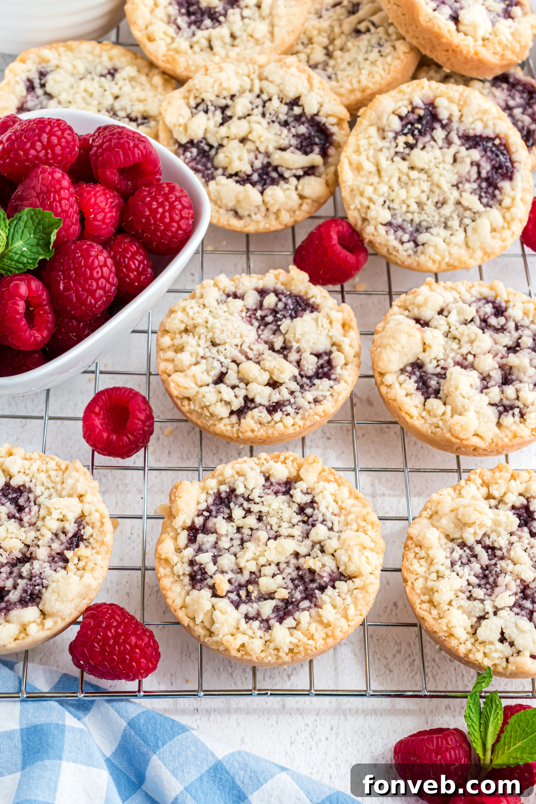 An overhead shot of golden-baked raspberry cookies cooling on a wire rack, with fresh raspberries artfully placed around them for garnish.