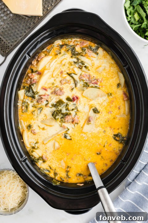 Overhead view of the cooked soup in the slow cooker pot. 