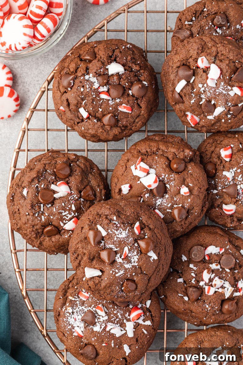 Festive Peppermint Chocolate Delights 2 Stacked Chocolate Peppermint Cookies on a rose gold cooling rack, showcasing their rich color and festive peppermint topping.