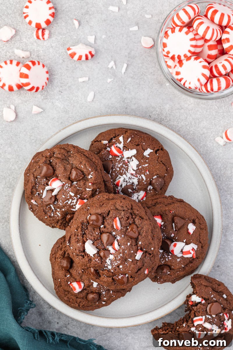 Festive Peppermint Chocolate Delights 11 Overhead view of five Chocolate Peppermint Cookies artfully arranged on a white plate, with a soft teal linen providing a colorful background.