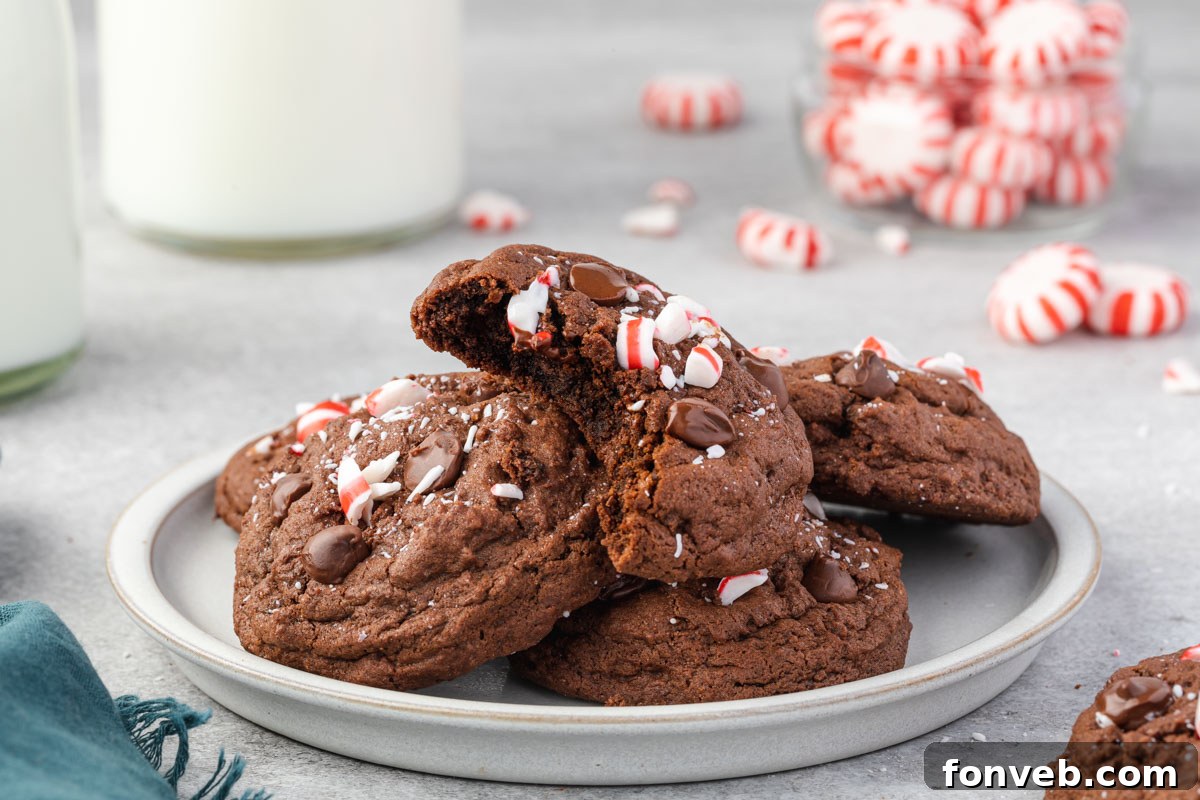Festive Peppermint Chocolate Delights 14 Chocolate Peppermint Cookies stacked on a pristine white plate, with a bite playfully taken from the top cookie to reveal its tender interior.