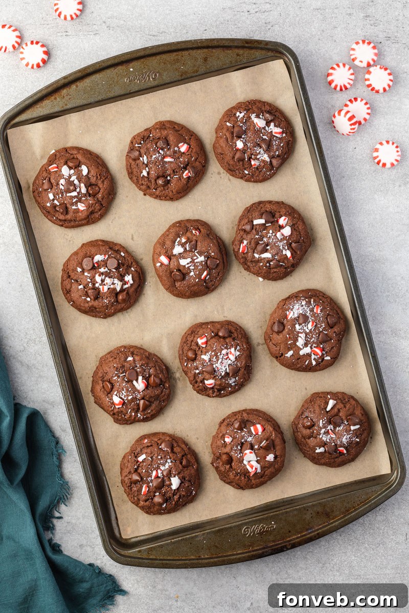 Festive Peppermint Chocolate Delights 3 Overhead shot of freshly baked Chocolate Peppermint Cookies cooling on a baking sheet, ready for festive enjoyment.