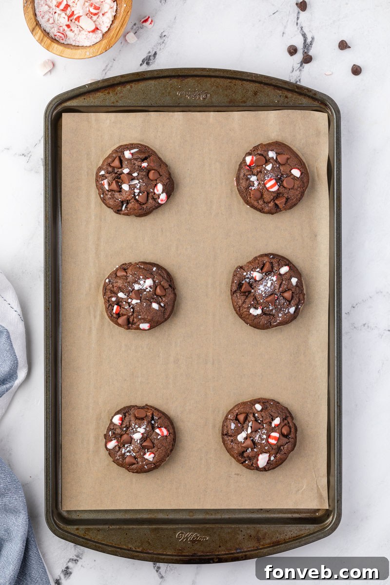 Festive Peppermint Chocolate Delights 6 Overhead shot of freshly baked Chocolate Peppermint Cookies on a baking sheet, steam gently rising, highlighting their tender centers.