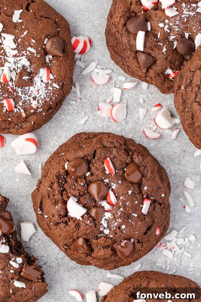 Festive Peppermint Chocolate Delights 9 Overhead shot of a single Chocolate Peppermint Cookie adorned with chocolate chips and a generous sprinkle of crushed peppermint.