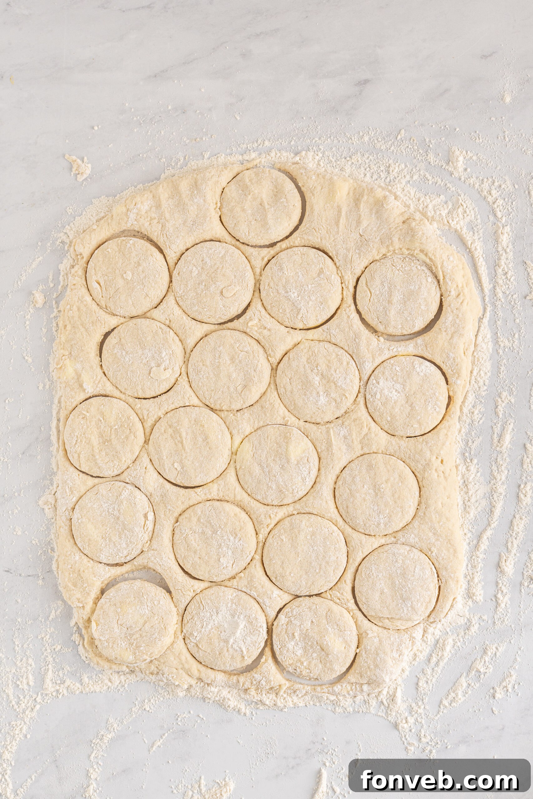 An overhead shot of biscuit dough neatly cut into rounds and arranged on a baking sheet, poised for baking.