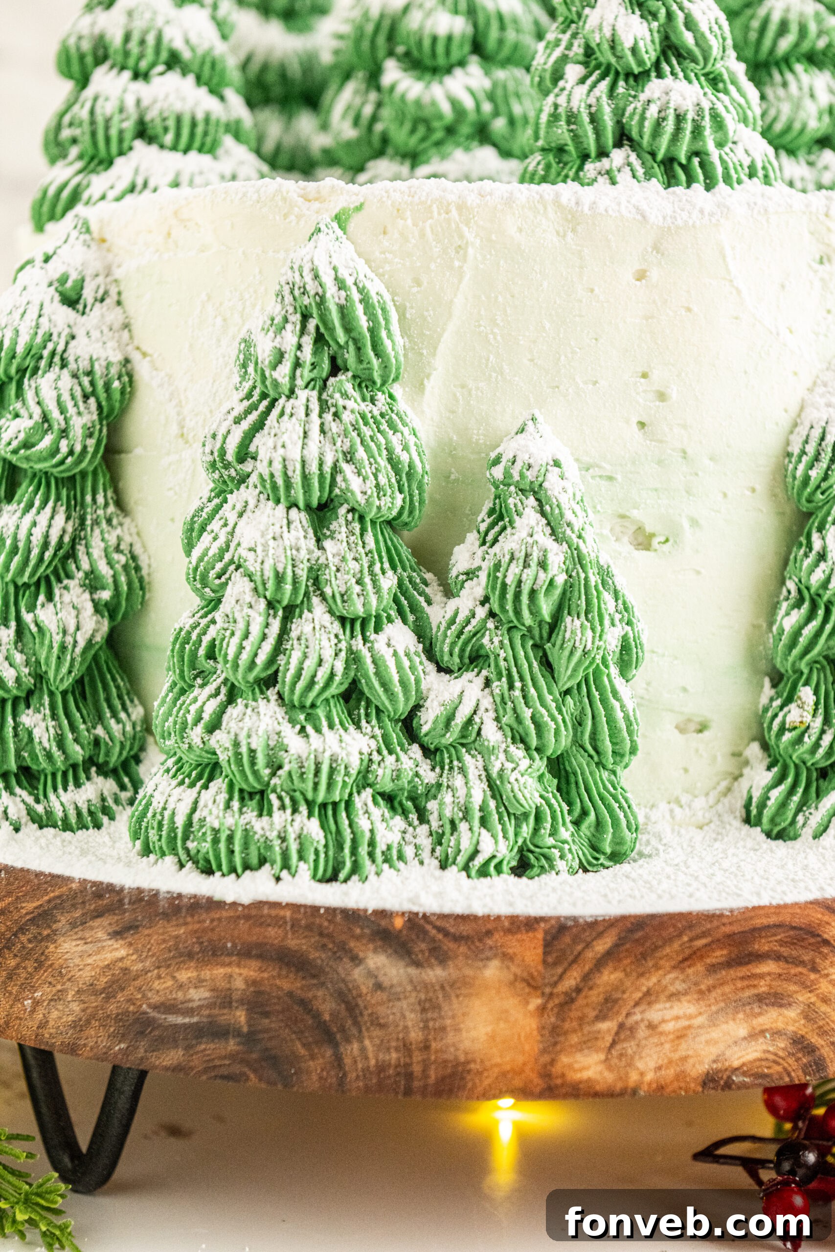 A close up of the "Christmas Tree" cones on the side of the cake. 