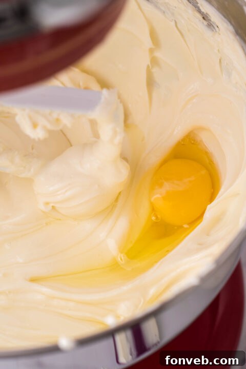 Preparing the graham cracker crust for the cheesecake.