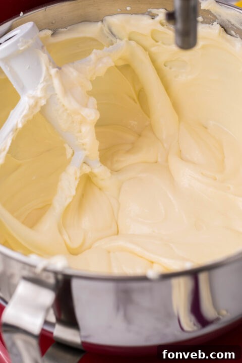 Lemon slices and mint sprigs as garnish for cheesecake.
