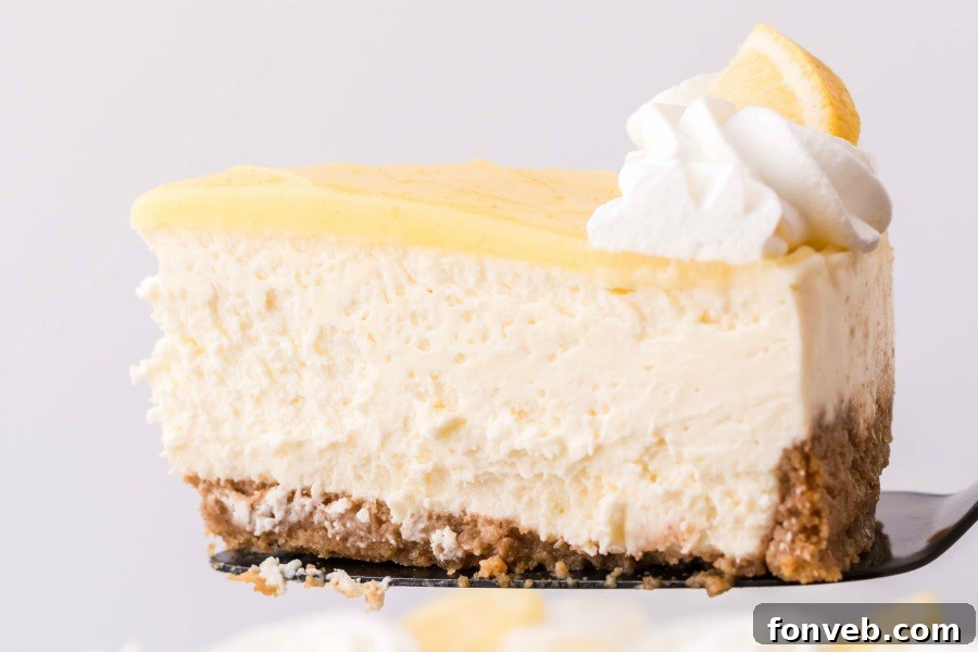 Side view of a slice of cheesecake being removed with a black spatula.