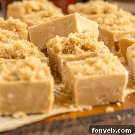 A close-up shot of a single piece of Penuche Fudge, showcasing its rich brown color and smooth texture.
