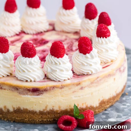 Raspberry Swirl Cheesecake
