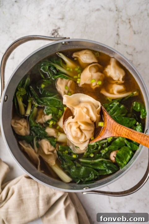 Comforting Wonton Soup 12 Another view of wonton soup