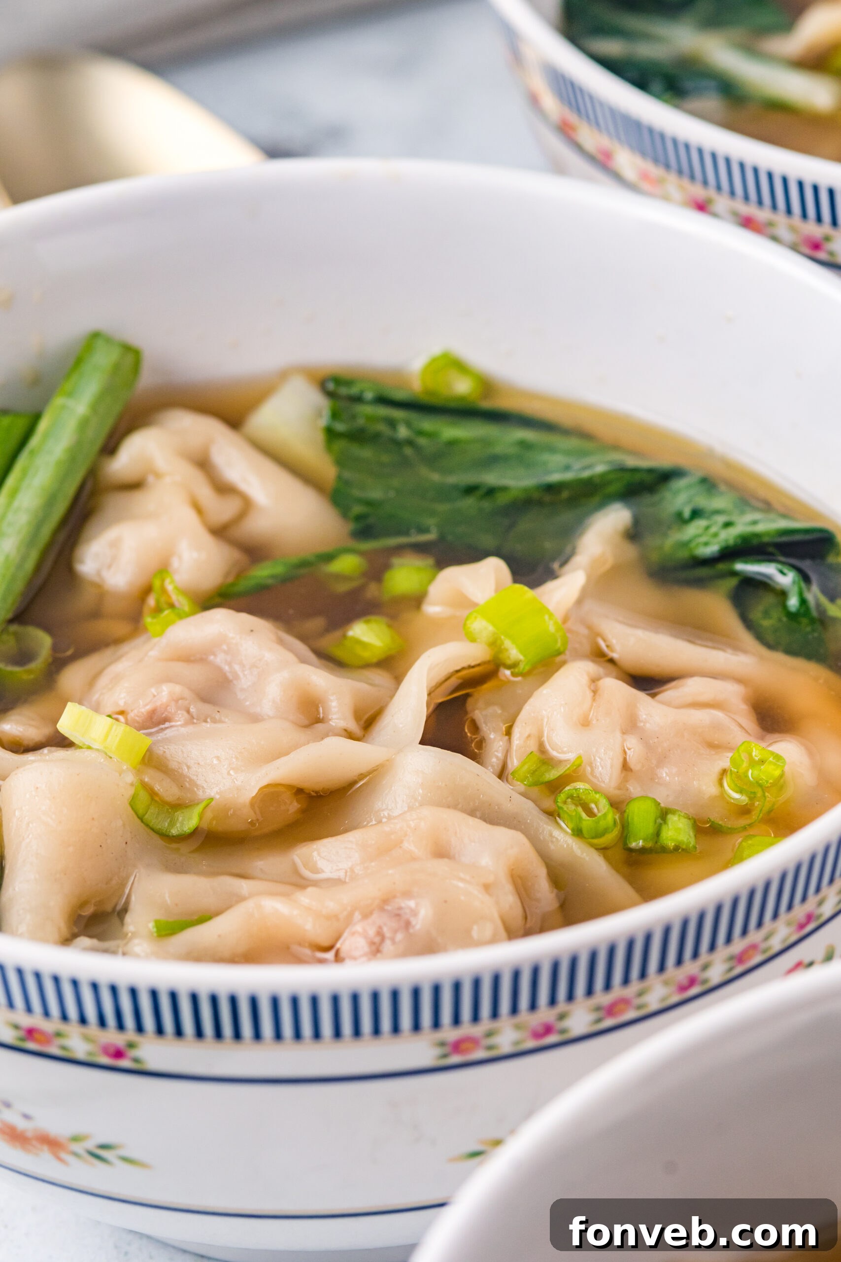 Comforting Wonton Soup 3 Side view of Wonton Soup in a white bowl topped with sliced green onion.