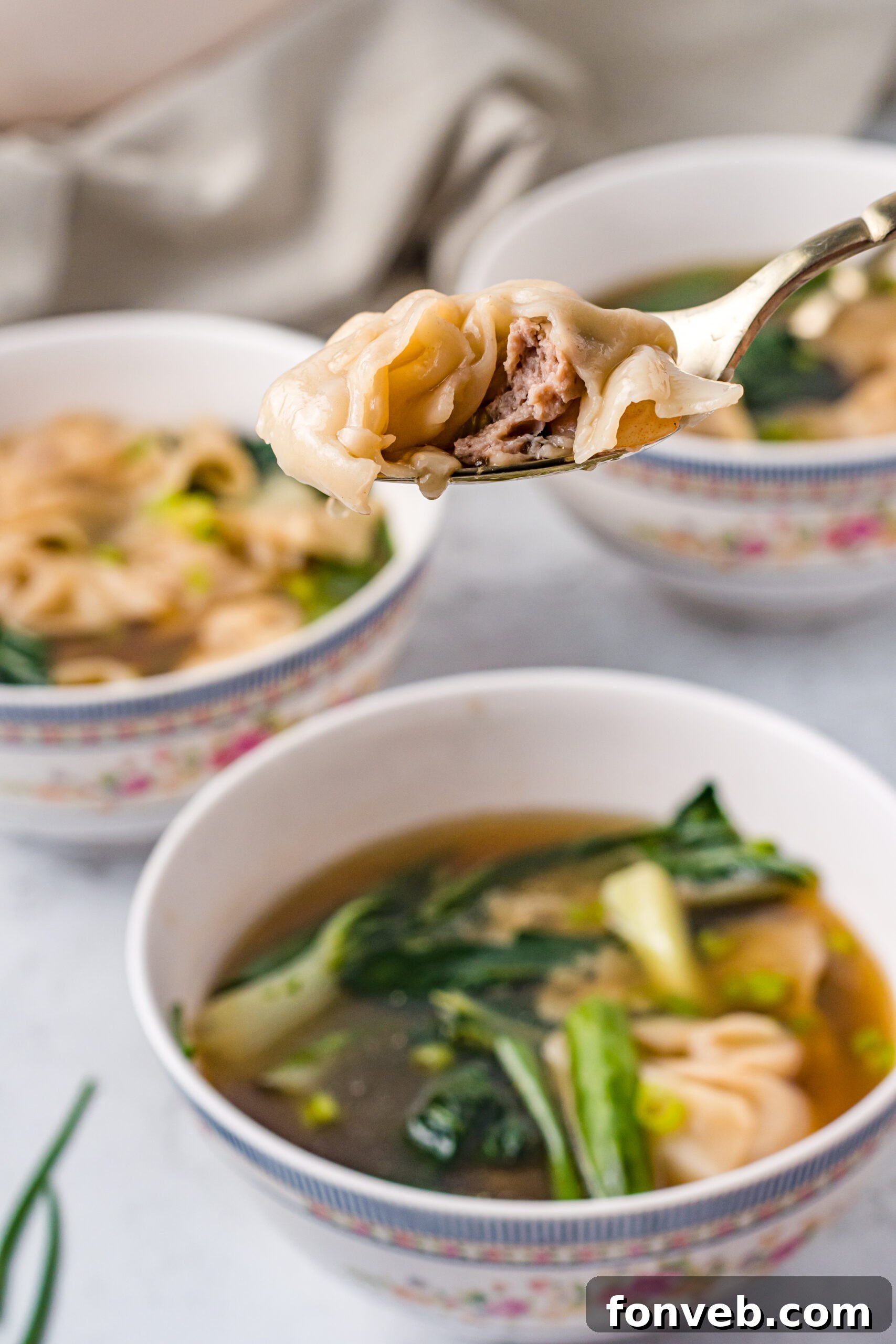 Comforting Wonton Soup 5 A gold spoon holding up wonton soup.