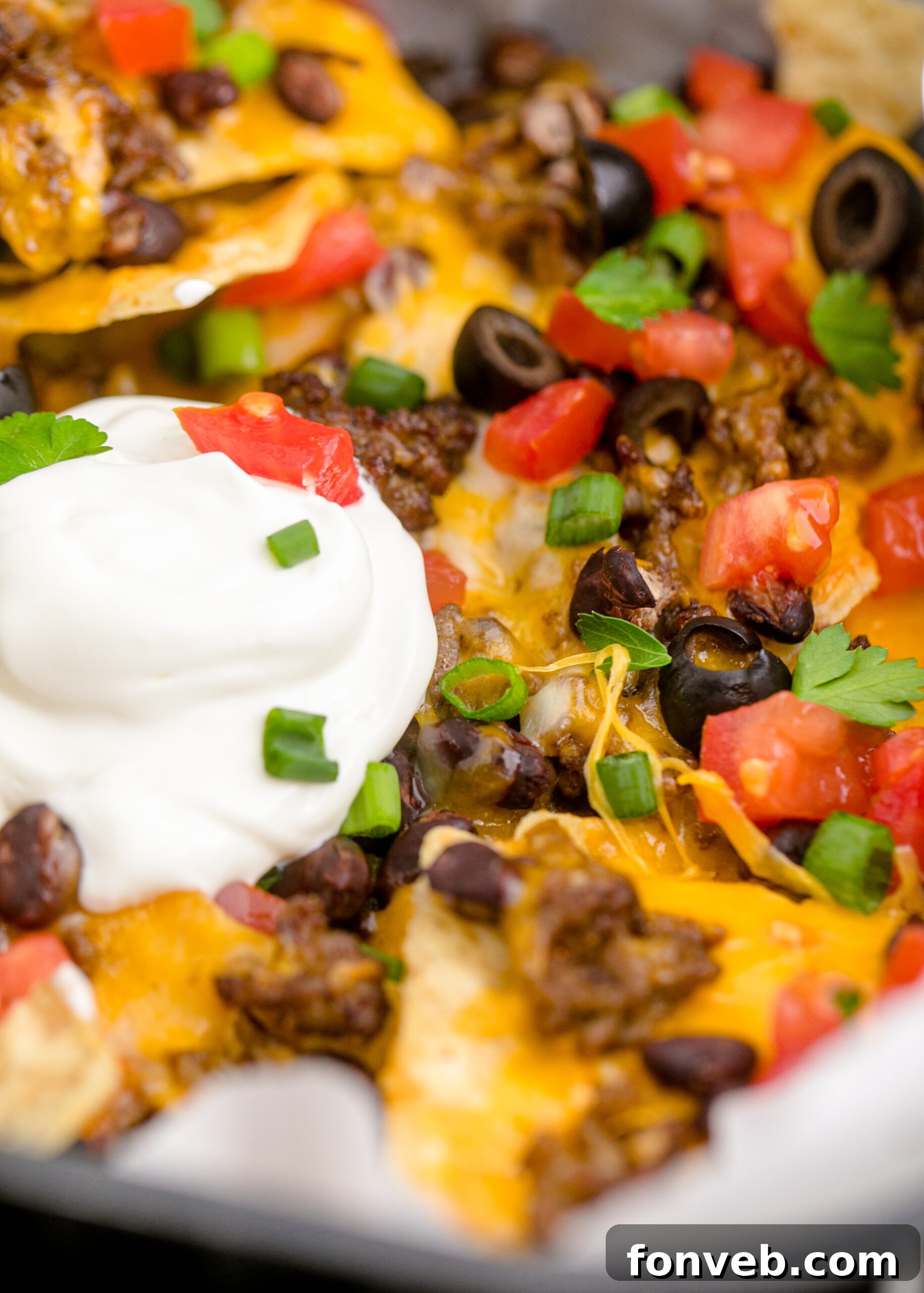 Ultimate Air Fryer Nachos 4 Up close view of Air Fryer Nachos.