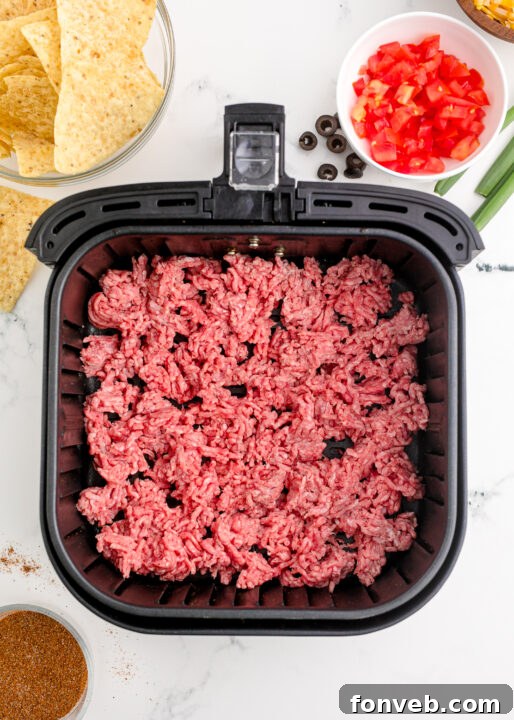 Ultimate Air Fryer Nachos 9 img 23702 8