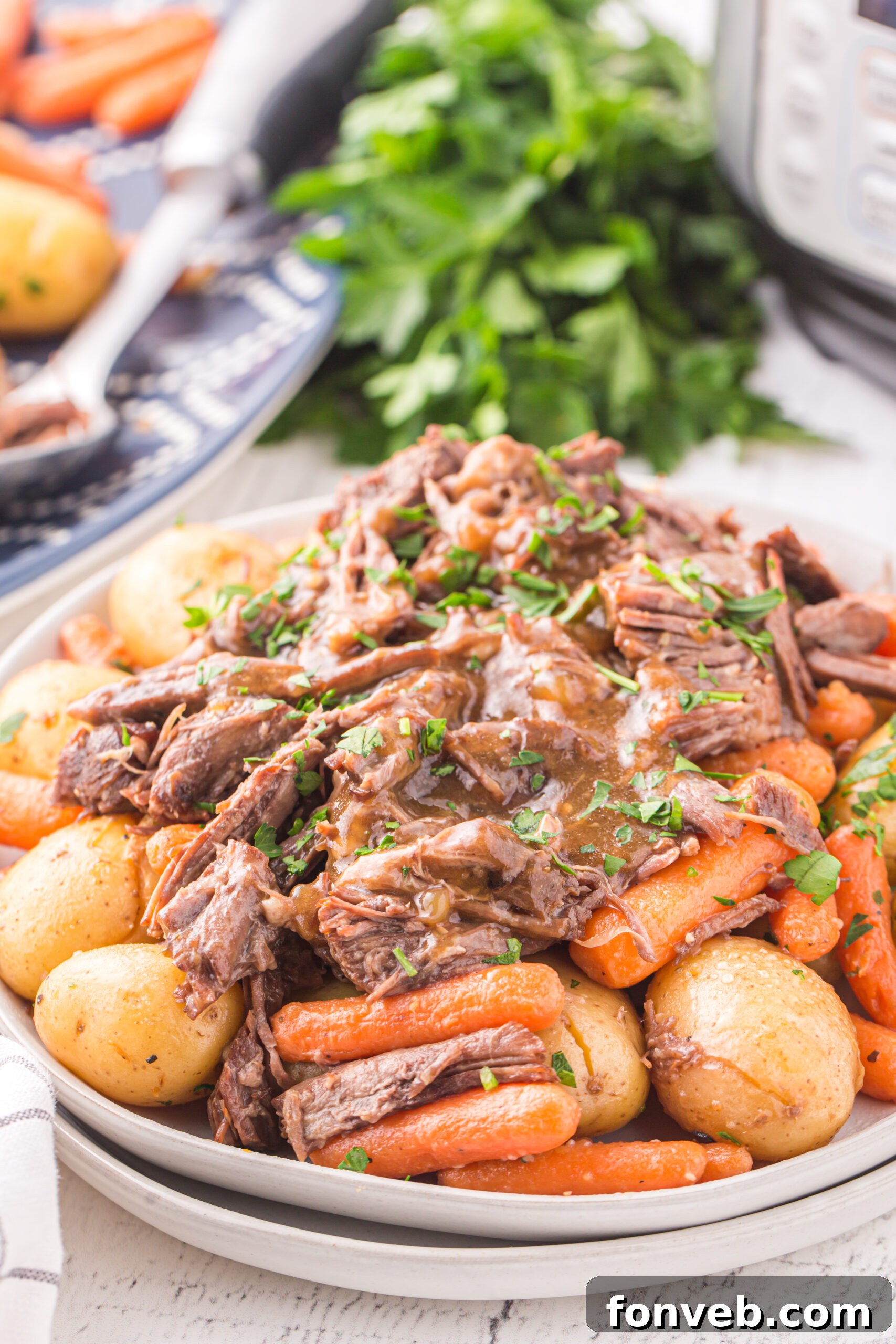 Melt-in-Your-Mouth Instant Pot Pot Roast 3 Instant Pot Pot Roast with potatoes and carrots on a white plate.