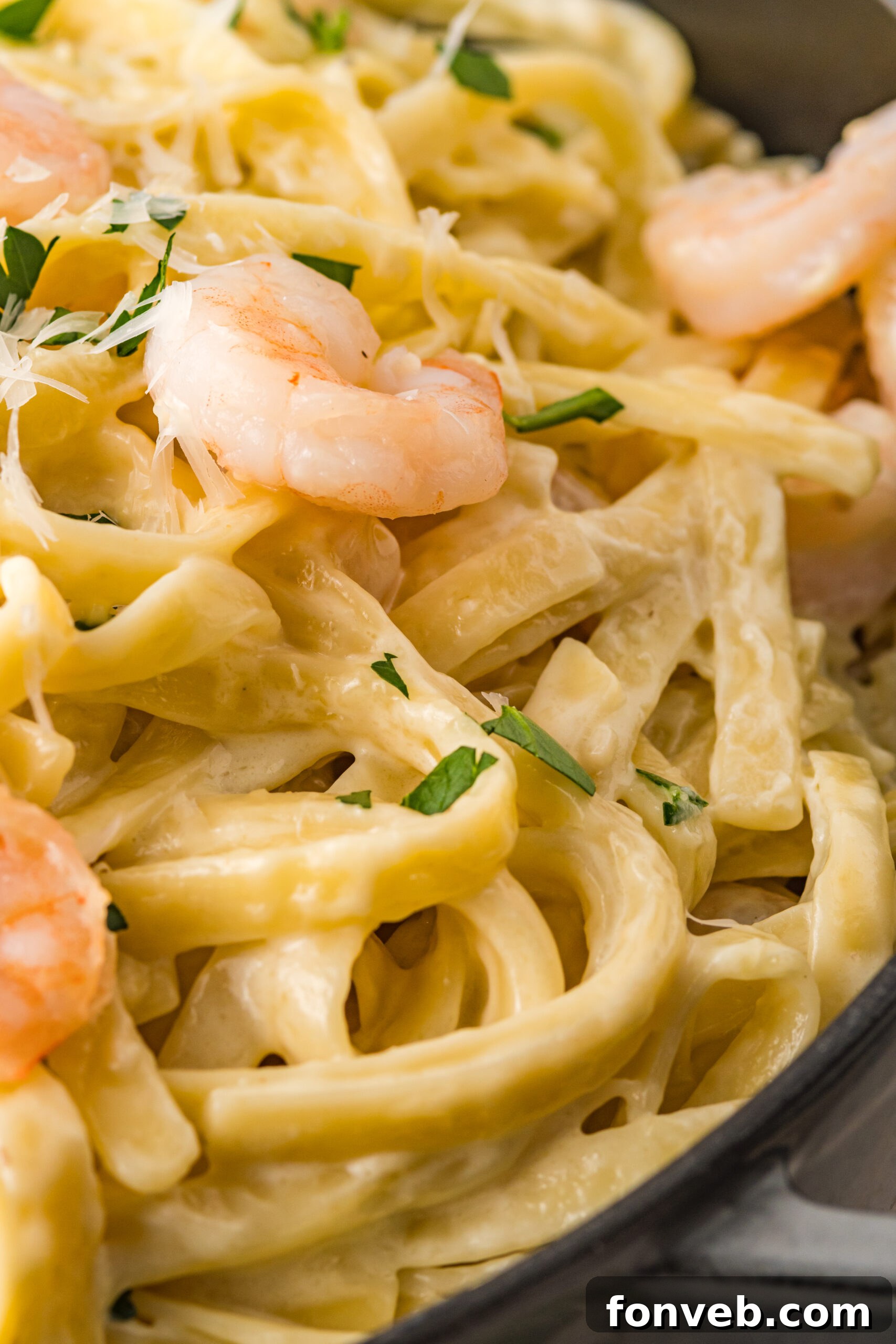 Close up view of Shrimp Alfredo.