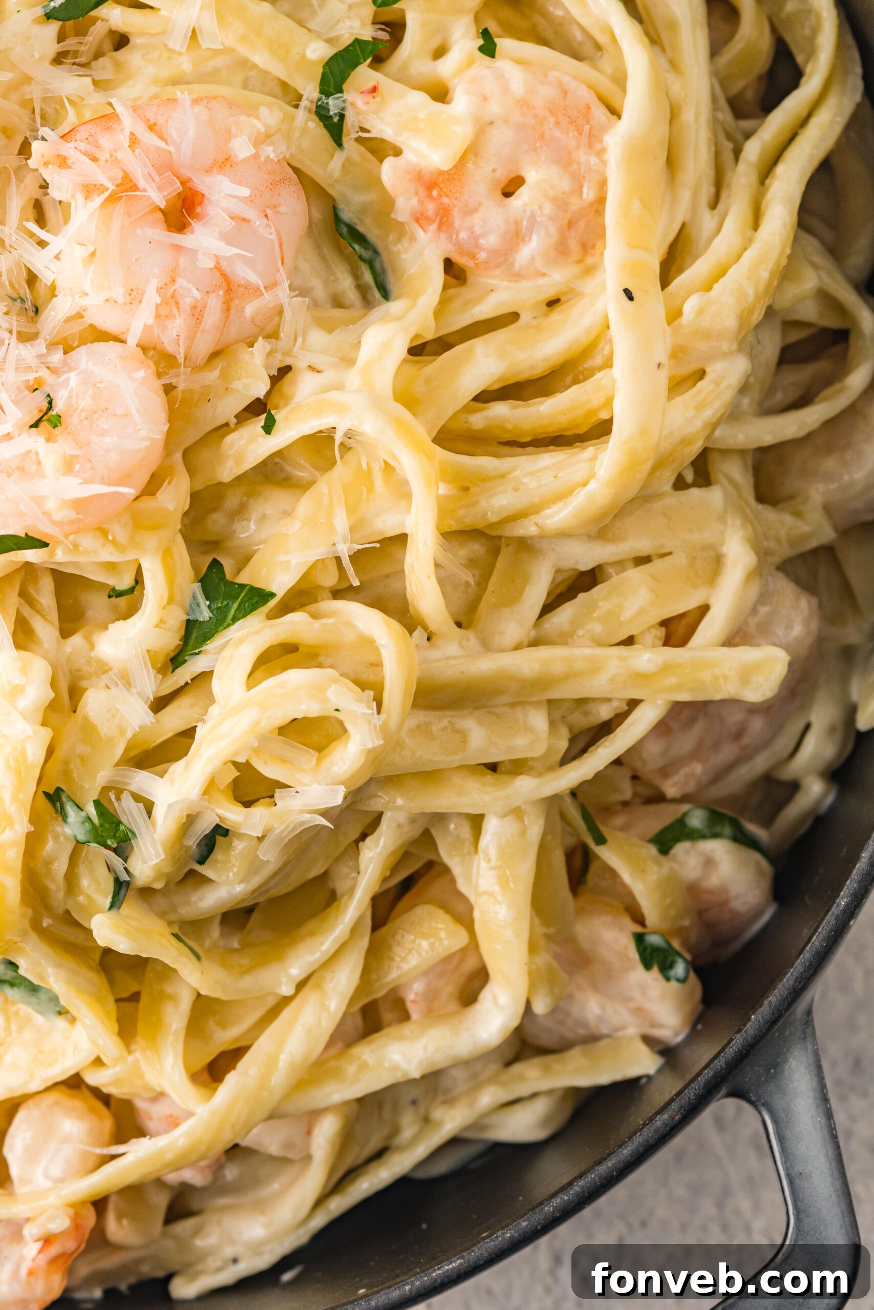 shrimp alfredo close up showing texture 