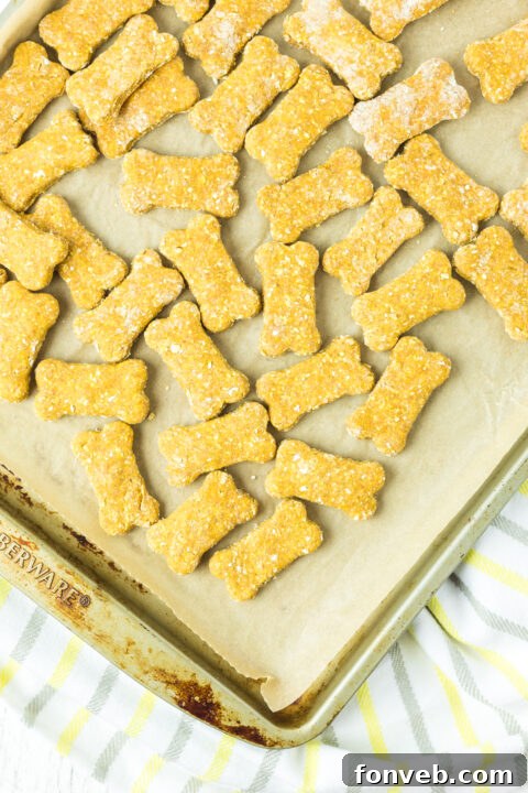 Cut-out Sweet Potato and Pumpkin Dog Treats placed on a parchment-lined baking sheet, prepared for baking.
