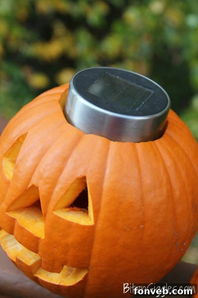 Spooktacular Fall and Halloween Inspirations to Love 38 Various Halloween decorations made using tomato cages