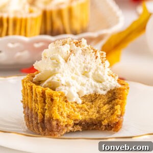 Spiced Fall Cheesecake Bites 19 Delicious Mini Pumpkin Cheesecakes