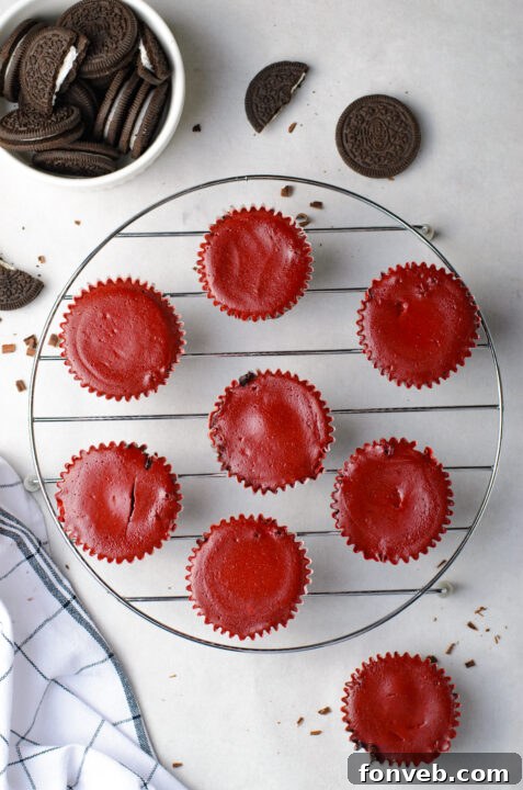 Ruby Red Oreo Cheesecake Gems 14 Preparation step for Mini Red Velvet Oreo Cheesecakes