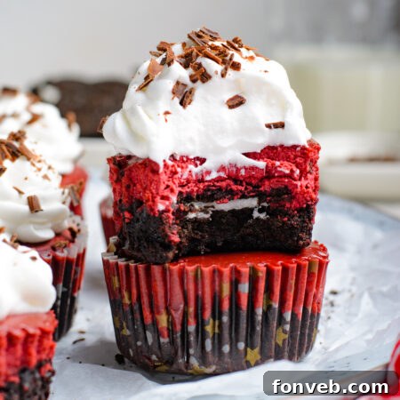 Ruby Red Oreo Cheesecake Gems 21 Mini Red Velvet Oreo Cheesecakes finished and ready to serve