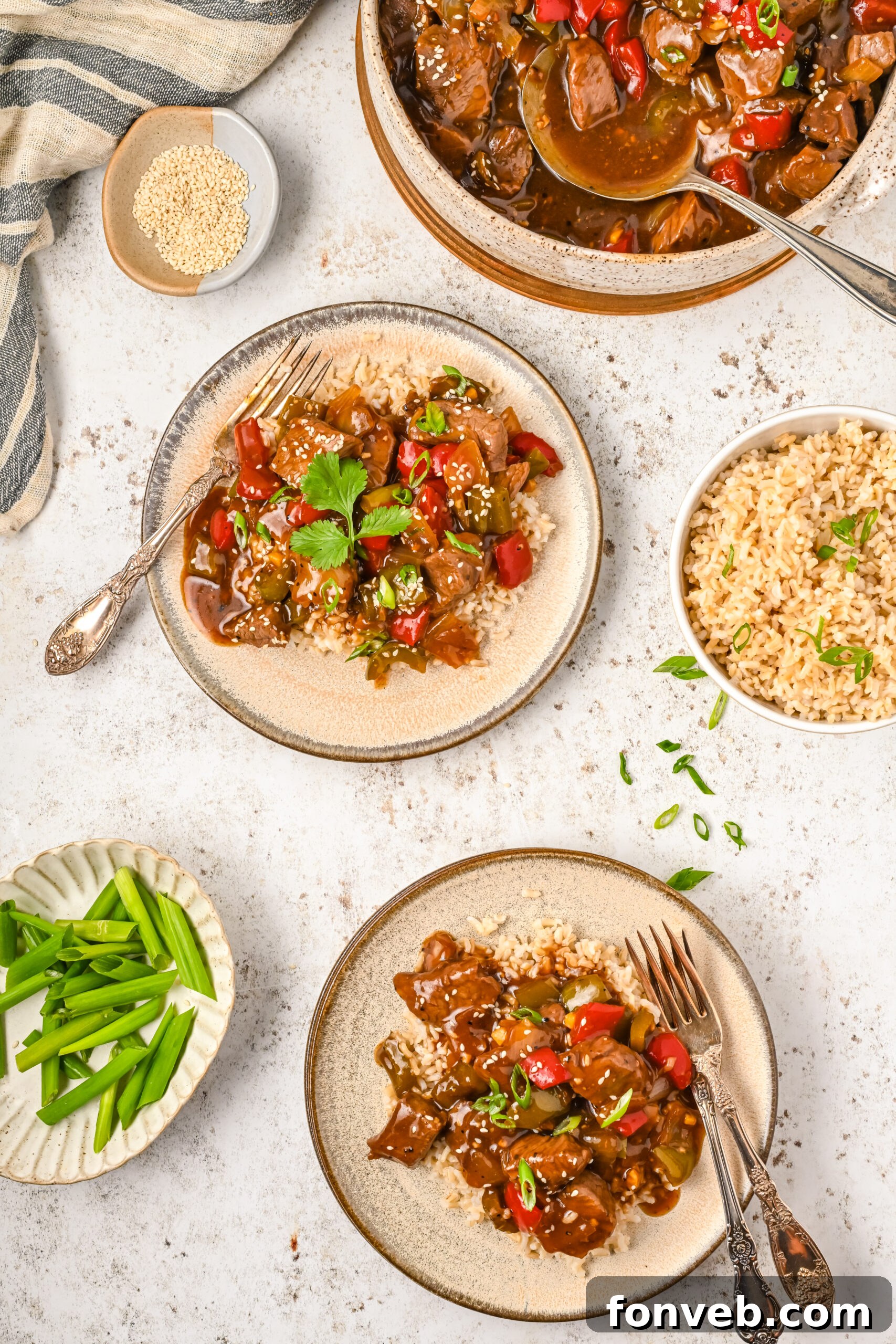 Overhead view of Chinese Pepper Steak on a dish served over rice.