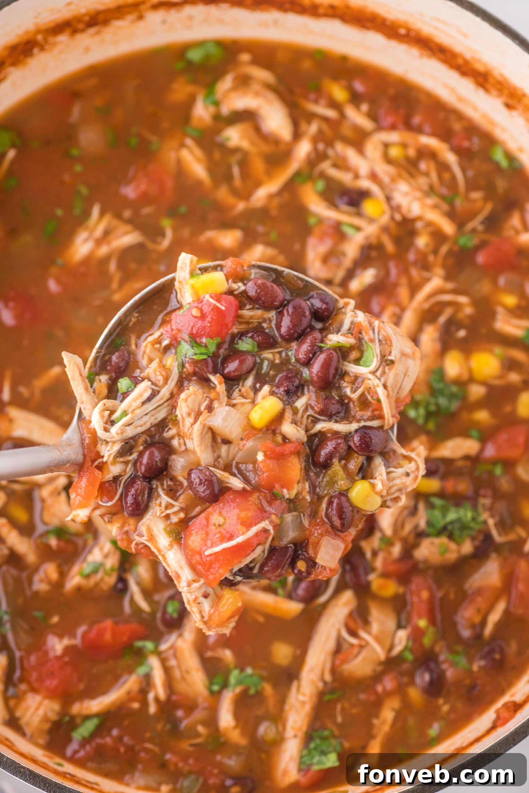 Chicken Taco Soup with a spoon lifting up a portion showing ingredients 