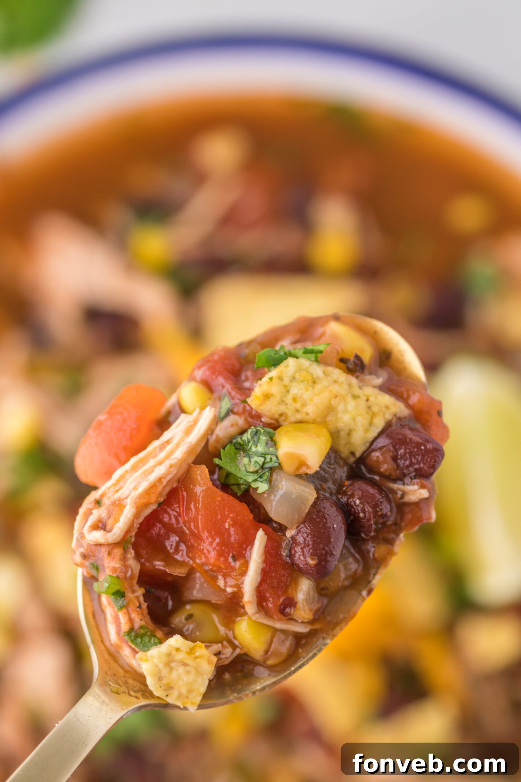 Close up view of a spoonful of Chicken Taco Soup in a gold spoon.